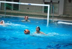flipper_conversano_48.jpg