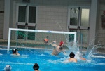 flipper_conversano_49.jpg