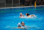 flipper_conversano_53.jpg