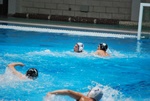 flipper_conversano_54.jpg