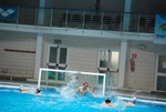 flipper_conversano_56.jpg