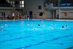 flipper_conversano_57.jpg