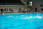 flipper_conversano_58.jpg