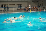 flipper_conversano_59.jpg