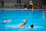 flipper_conversano_63.jpg