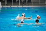 flipper_conversano_64.jpg
