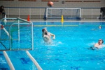 flipper_conversano_65.jpg