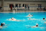 flipper_conversano_67.jpg
