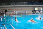 flipper_conversano_68.jpg