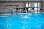 flipper_conversano_76.jpg