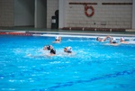 flipper_conversano_78.jpg