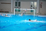 flipper_conversano_79.jpg
