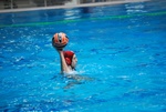 flipper_conversano_81.jpg