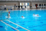 flipper_conversano_84.jpg