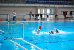 flipper_conversano_86.jpg