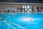 flipper_conversano_87.jpg