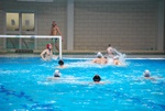 flipper_conversano_88.jpg