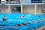 flipper_conversano_92.jpg