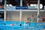 flipper_conversano_93.jpg