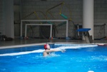 flipper_conversano_95.jpg