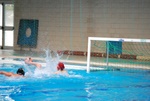 flipper_conversano_97.jpg