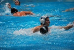 flipper_conversano_99.jpg